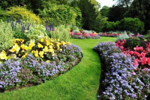 A garden with many different flowers and grass.