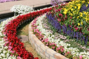 A garden with many flowers and plants in it